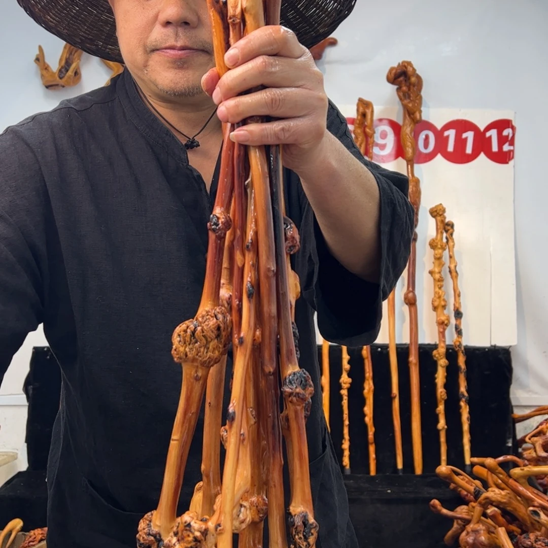 其他黑果木黑果木360