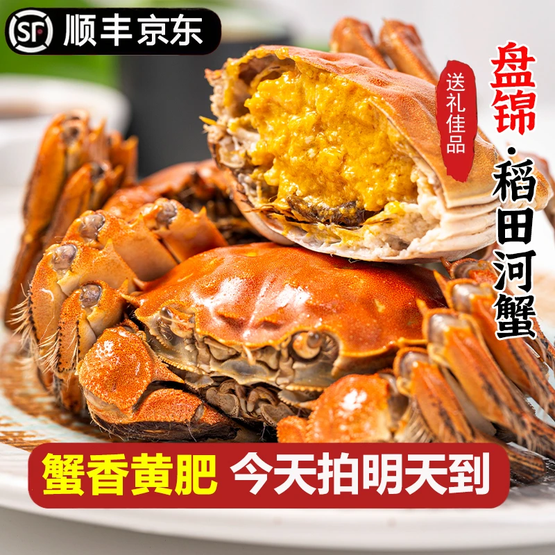 明天到【礼盒装·活公母蟹】盘锦河蟹母蟹0.8-1.0两/只 公蟹1.0-1.3两/只 12只送12只共发24只童小二TY