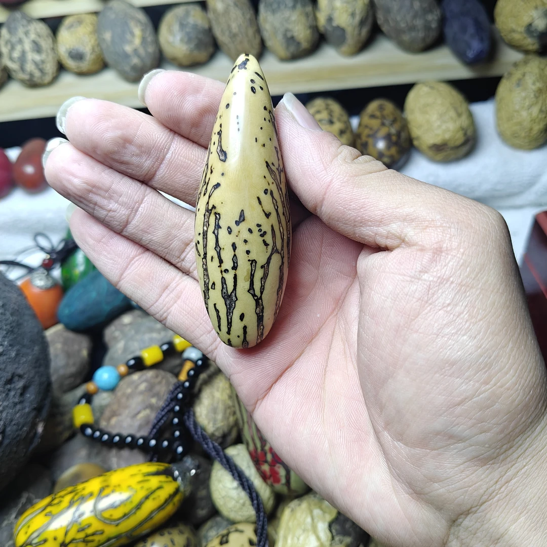 千眼菩提 公果 一颗