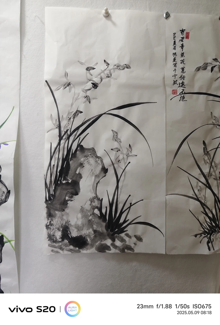 墨兰学习手稿,拍一发二,以直播间截图为准