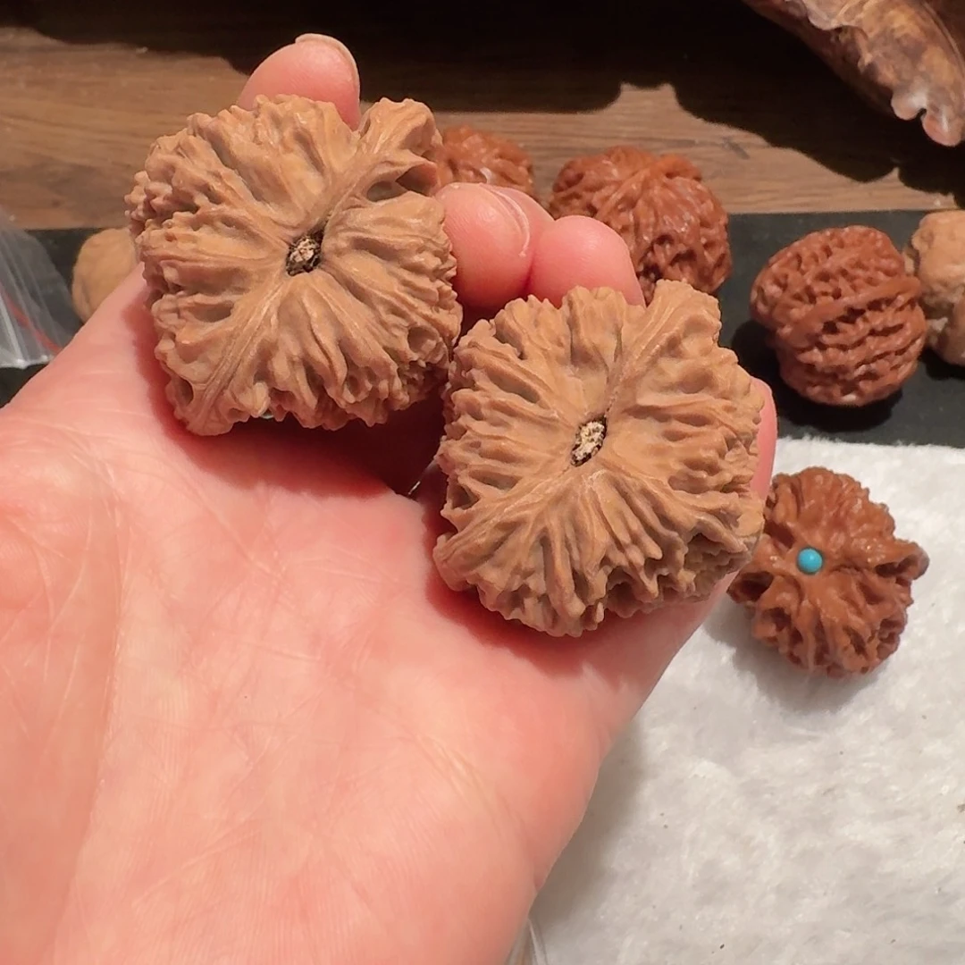 永****度全品南疆石狮子头42