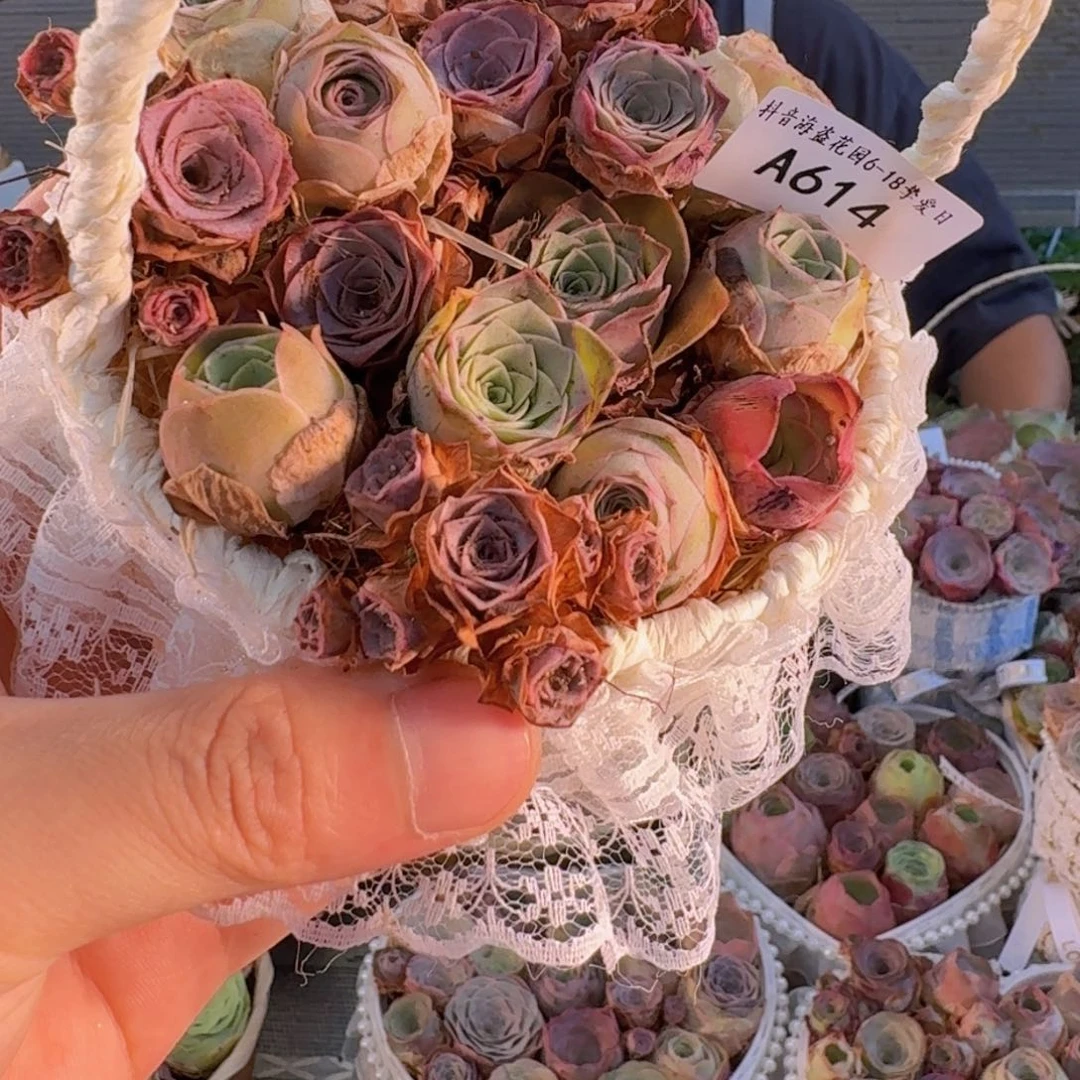 A614 蕾丝花篮玫瑰组合