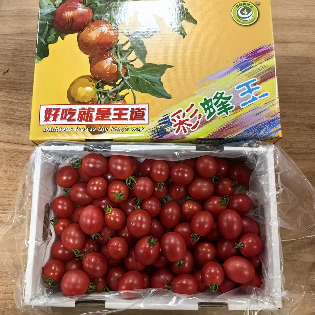 【彩蜂王小番茄】 带箱2.5斤左右/箱 仅限太原六城区榆次可拍