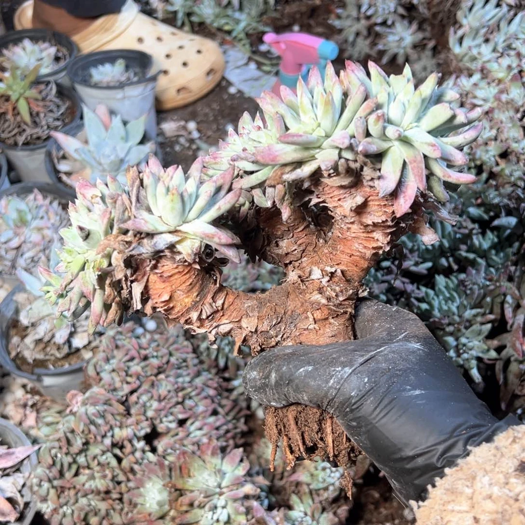 6835哈哈哈哈哈哈哈哈