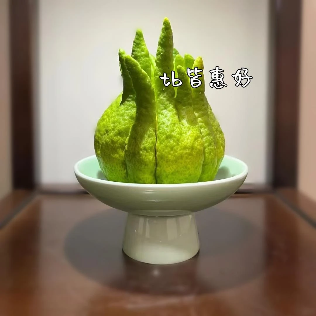 W佛手柑花瓶器皿托盘中式复古摆放摆盘观赏佛手托盆养花容器盘子