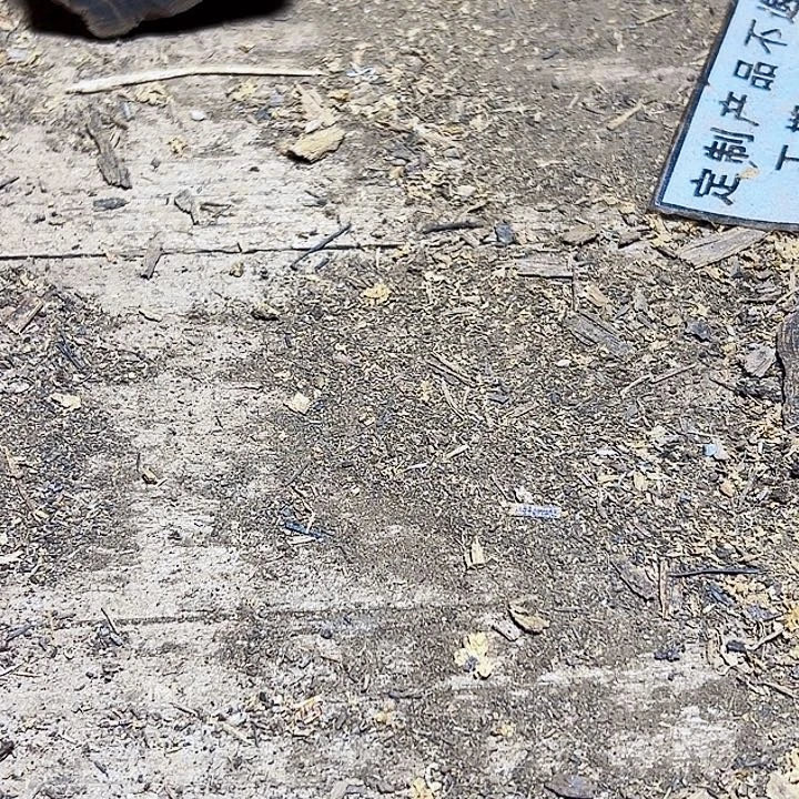 *****贡木其他定制产品不退不换