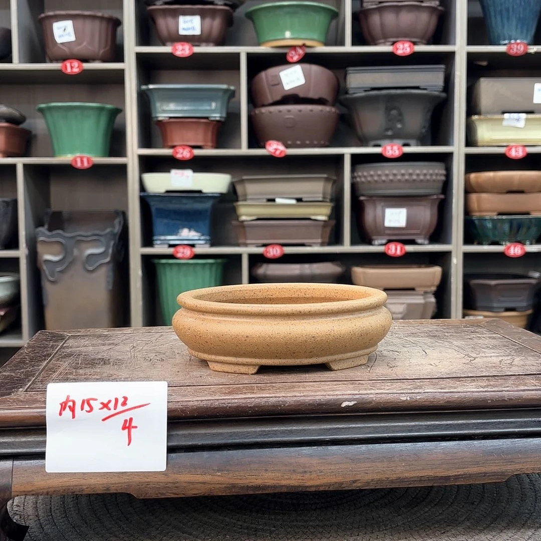 紫砂花盆紫砂的花也太