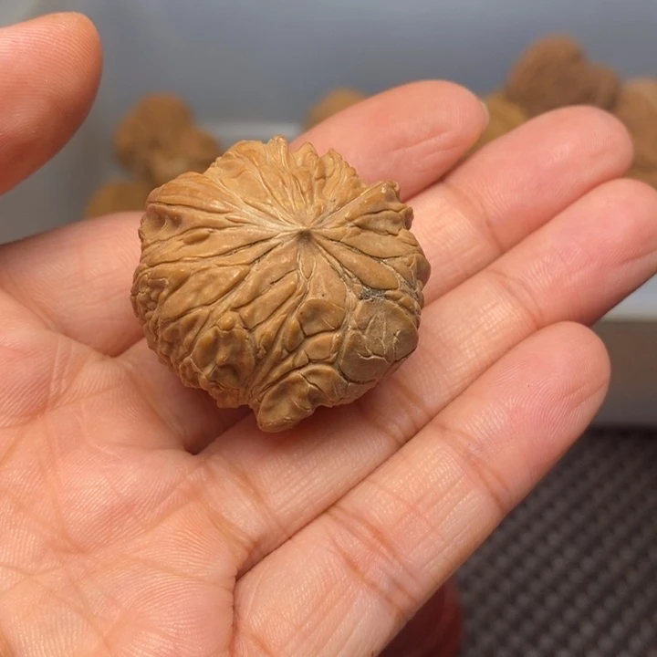 尚***维吊坠文玩核桃文玩核桃异形单只