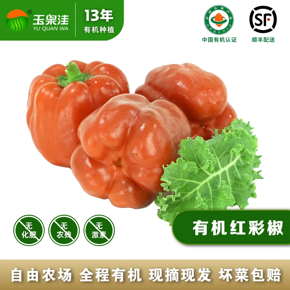 玉泉洼有机五彩椒新鲜水果椒生吃不辣当季蔬菜1500g