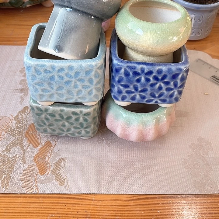 243694984949949499494