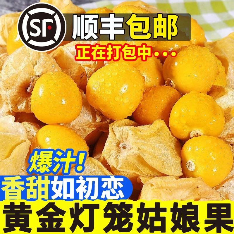 东北菇娘果！大果！应季水果