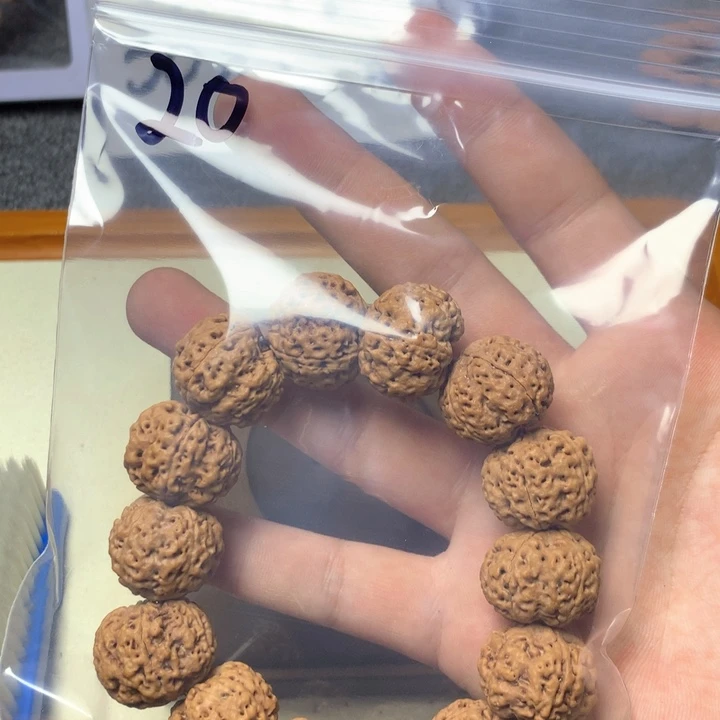 吊坠金刚菩提20。 21肉墩子。
