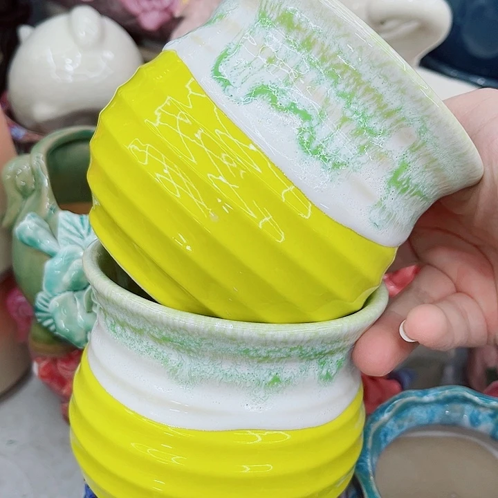 多肉植物陶瓷花盆