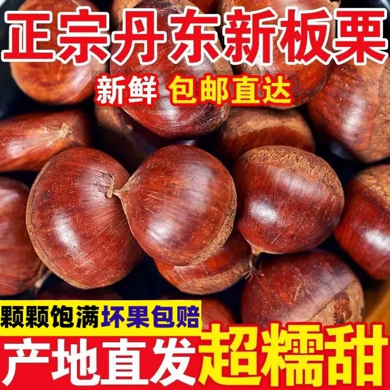 【5斤】新鲜现摘高山板栗清脆甘甜鲜香生栗子送剥皮器难剥皮