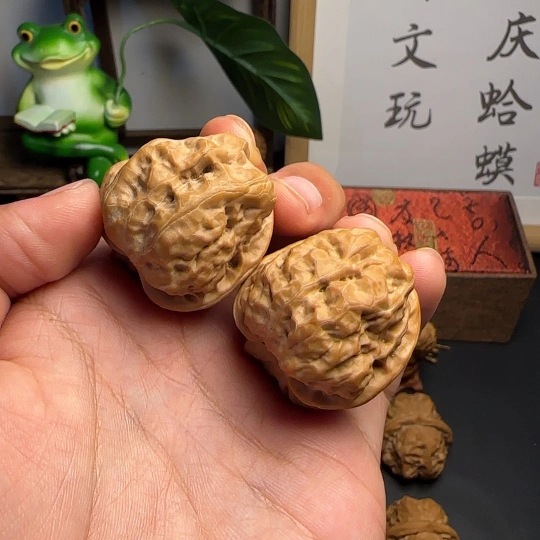 大***粒蛤蟆头34✖️38尺红皮