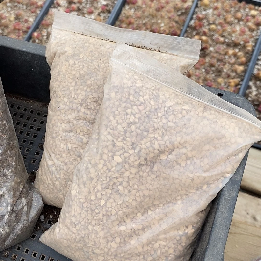 硅藻铺土石一袋。