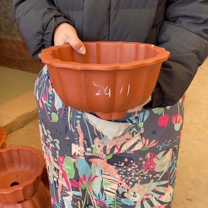 花盆紫砂只顾看手机