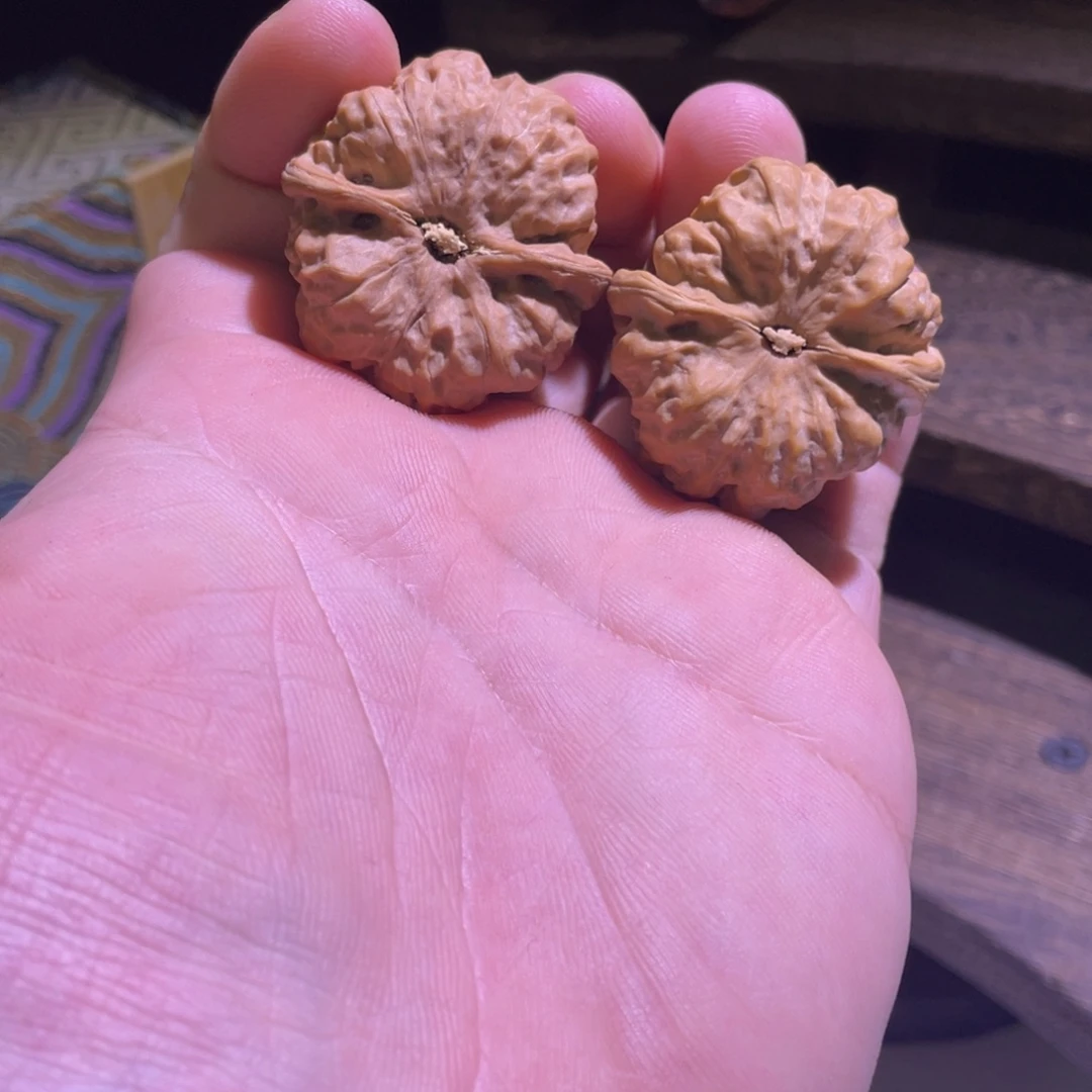 也***许文玩核桃吊坠蛤蟆