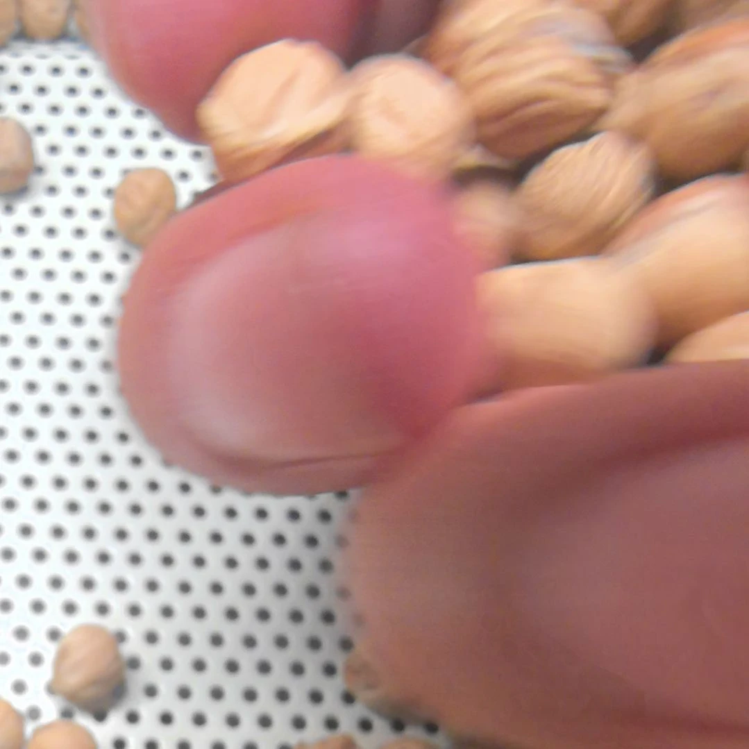 富***开手串柏香籽/百香籽