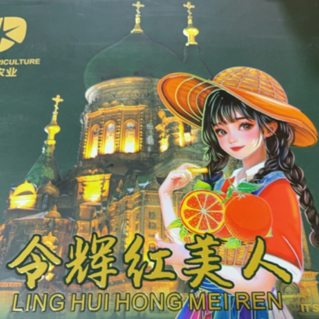 令辉红美人果冻橙12颗 礼盒装