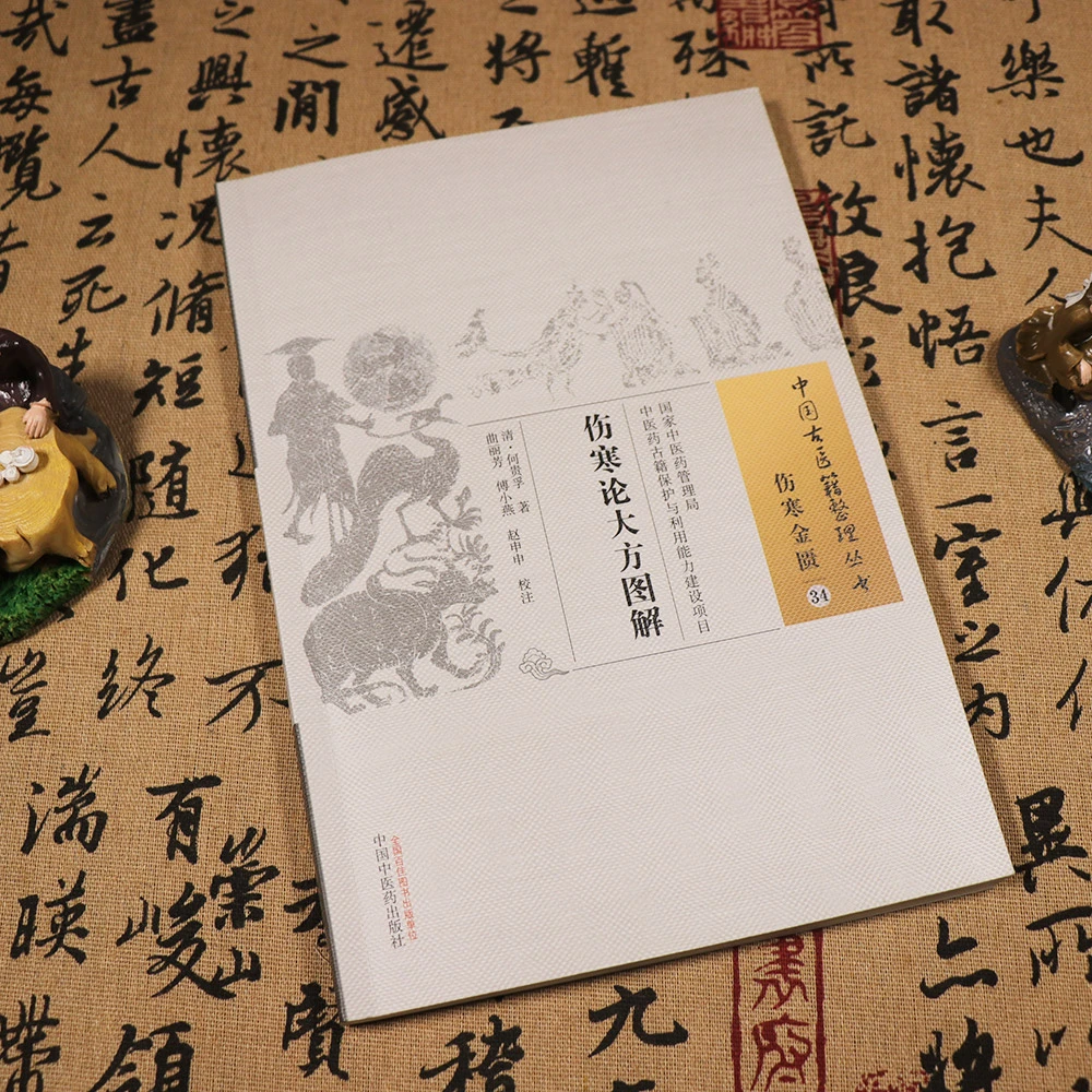 【天地合】伤寒论大方图解伤寒金匮34医总金鉴 四逆诠释