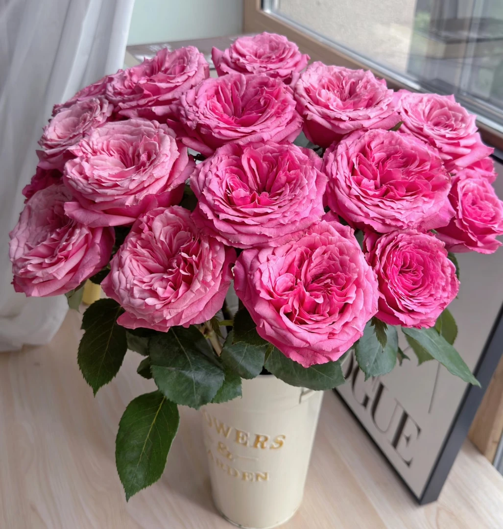 【小红莓AK】10枝单头玫瑰    | 全场任意满两单鲜花包邮