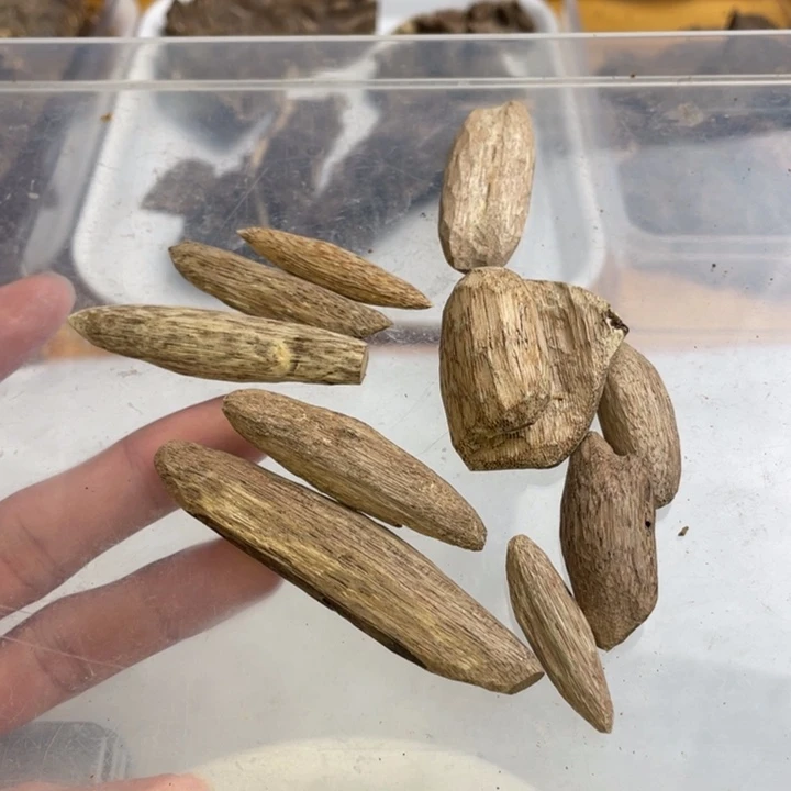 沉香碎屑沉香香港虫漏瓜子10.4克