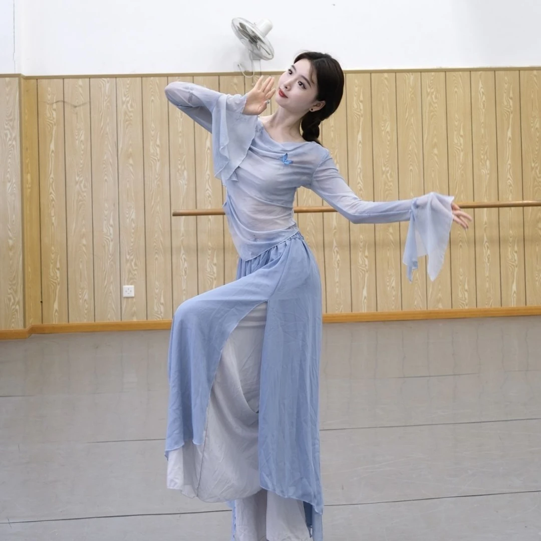 古典舞渐变身韵纱衣蝴蝶喇叭袖练功服中国舞现代舞艺考基训演出服