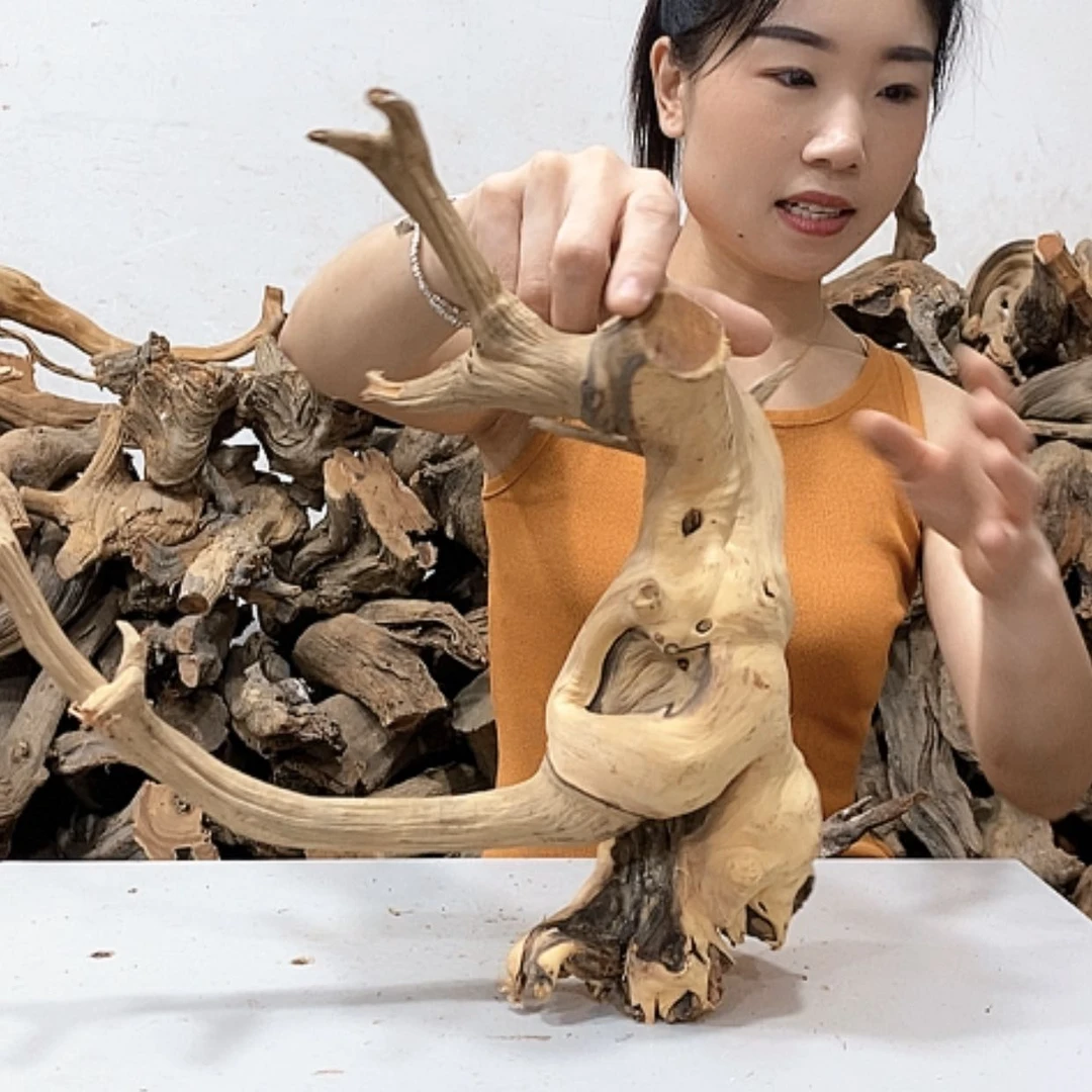【闪购商品】柏木好**钱我们都是好孩子