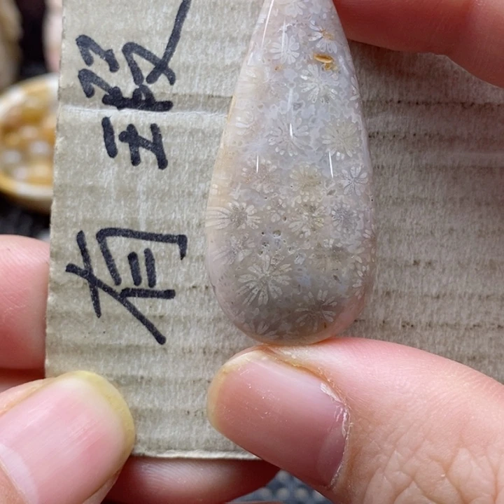 硅化珊瑚（珊瑚玉）颈饰未镶嵌