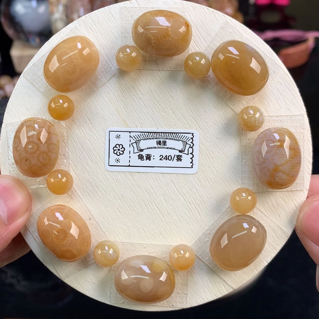 【闪购商品】颈饰未镶嵌硅化珊瑚（珊瑚玉）109号金糖性价比