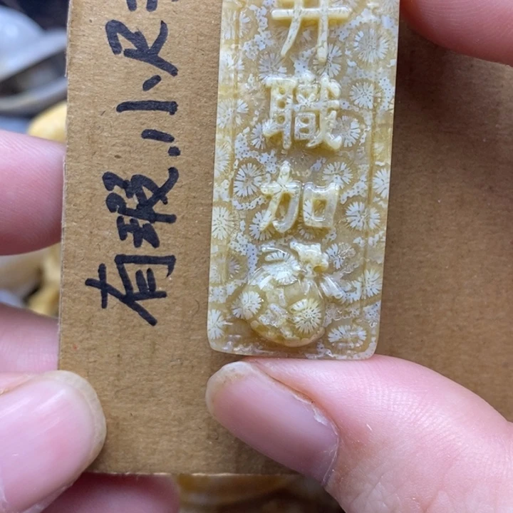 硅化珊瑚（珊瑚玉）未镶嵌颈饰