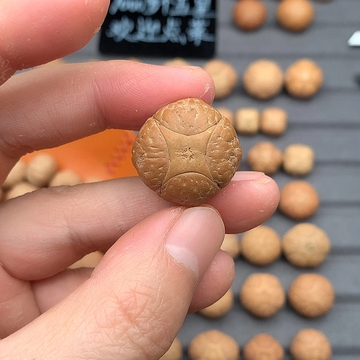 吊坠凤眼菩提廖*王24+麒麟