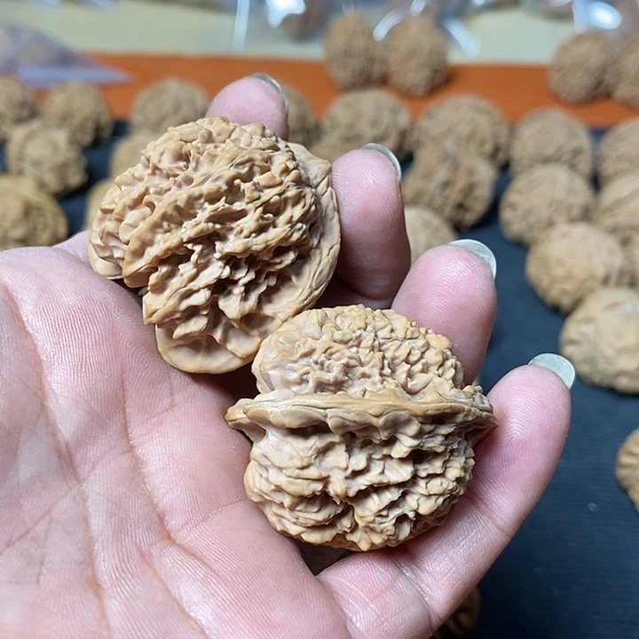 苍***海核桃满天星42全品无修