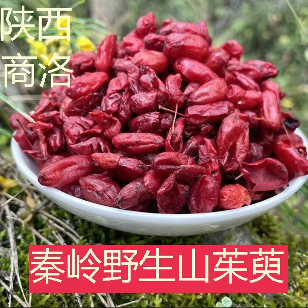 秦岭深山野生山茱萸 无核野生山茱萸肉 中药材正品包邮