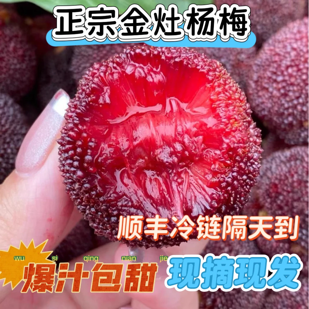 4斤新鲜正宗金灶软丝杨梅，新鲜爆汁，广东省内顺丰包邮