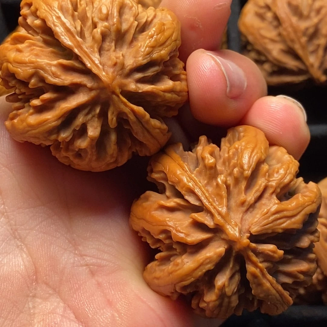 文玩核桃吊坠秦岭山脉核桃