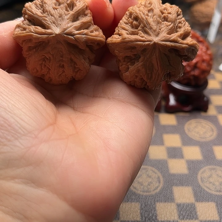 核桃42+大粗筋全品