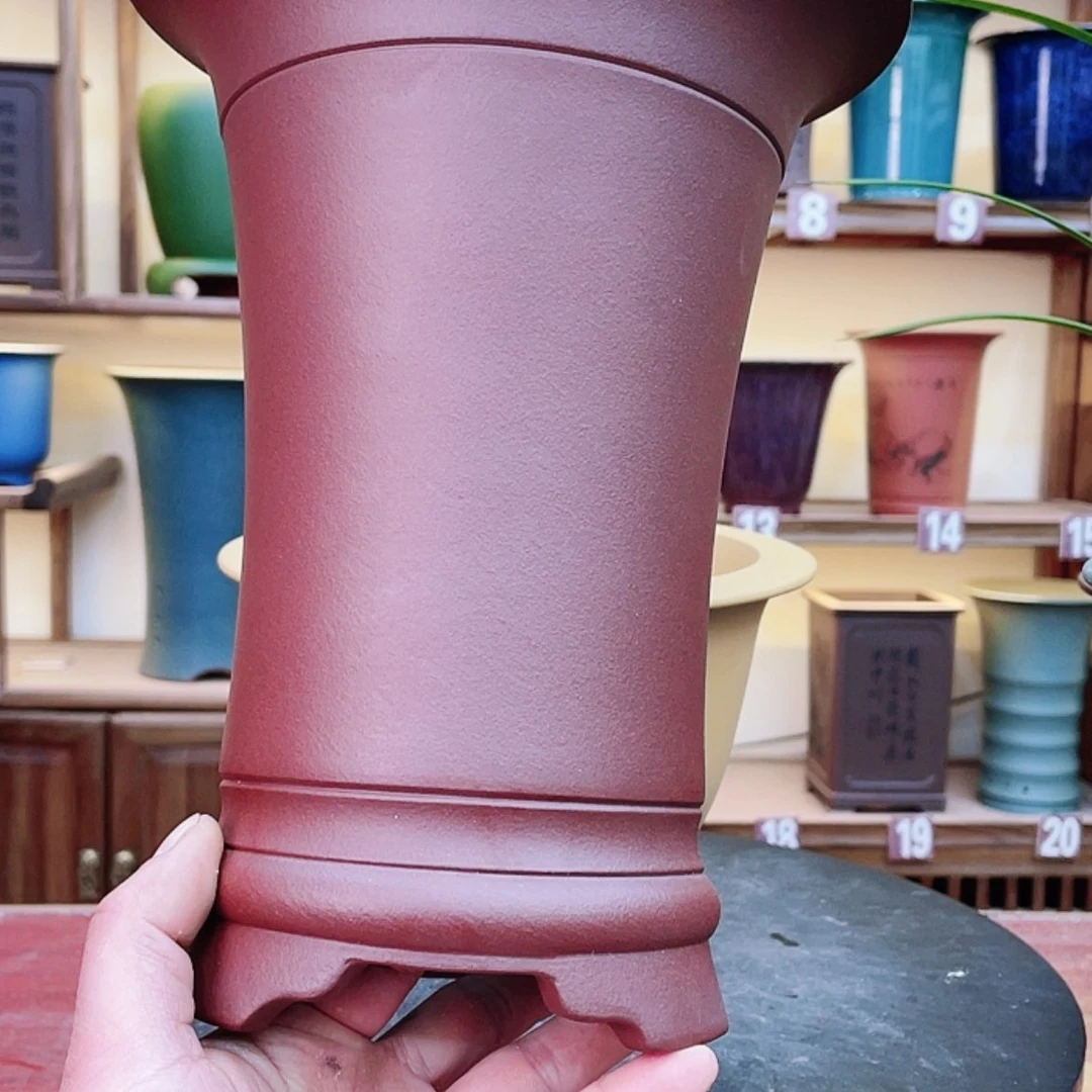 【闪购商品】紫砂花盆岚*兰花755585255855778568