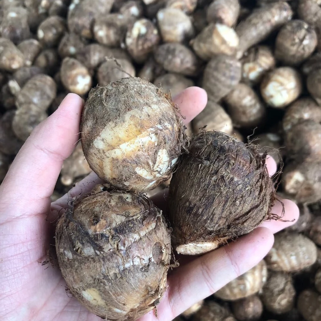 【山货专属】新鲜现挖小芋奶软糯香甜芋头农家毛芋艿