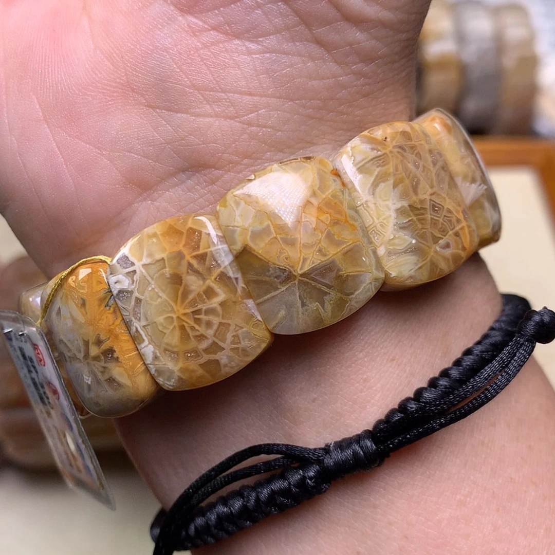 【闪购商品】硅化珊瑚（珊瑚玉）手链未镶嵌原300五折大漏150