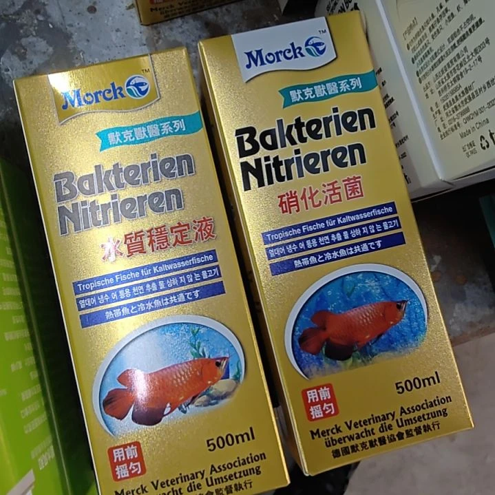 红海倒吊鱼德国默克消化活菌➕稳定剂