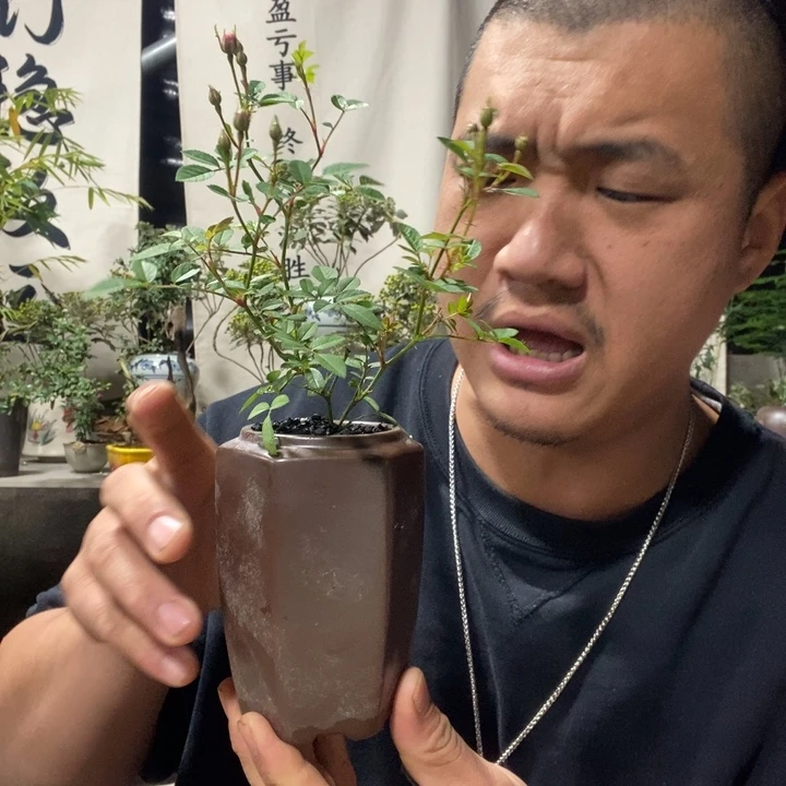 无花朵退款拉黑拉黑37