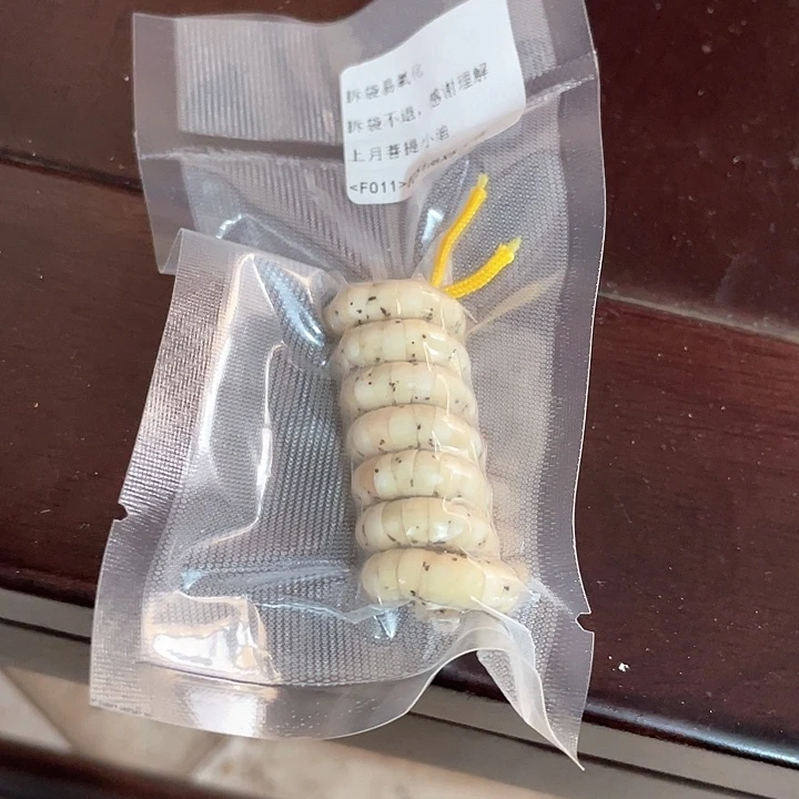 星月菩提手串*F011–6x5大肠