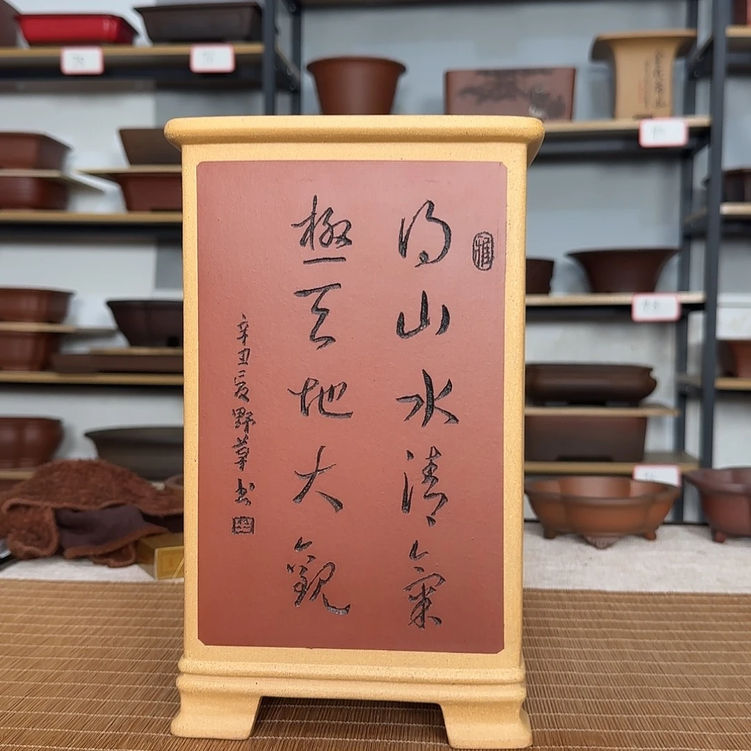 s***少4577787877787787788888