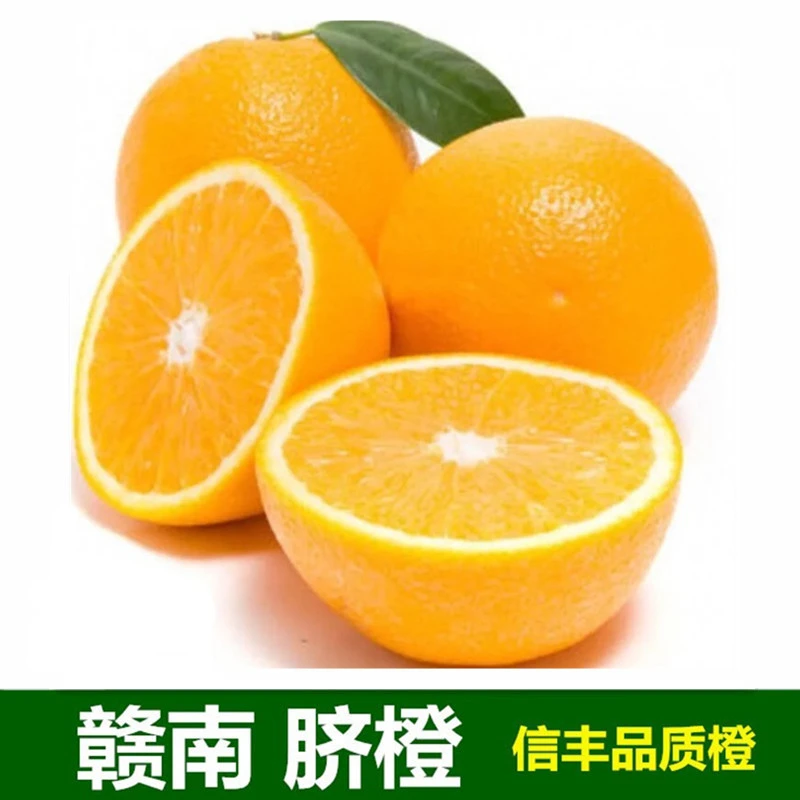 【韵达快递】江西正宗赣南脐橙生态信丰脐橙新鲜手剥橙子香甜水果