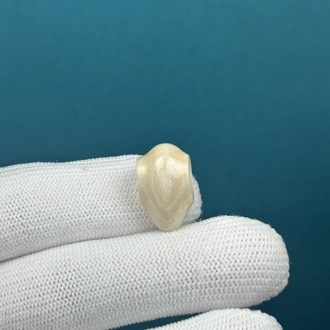 D60-73天然猛犸牙 鲨鱼背三通 11.3*18.3mm一物一图假一罚十