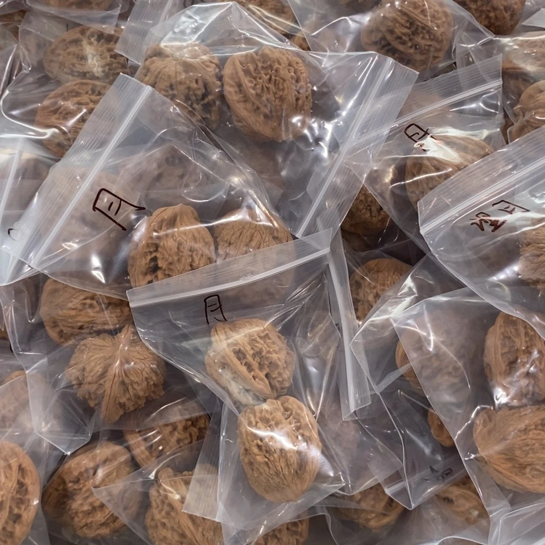 文玩核桃吊坠望月