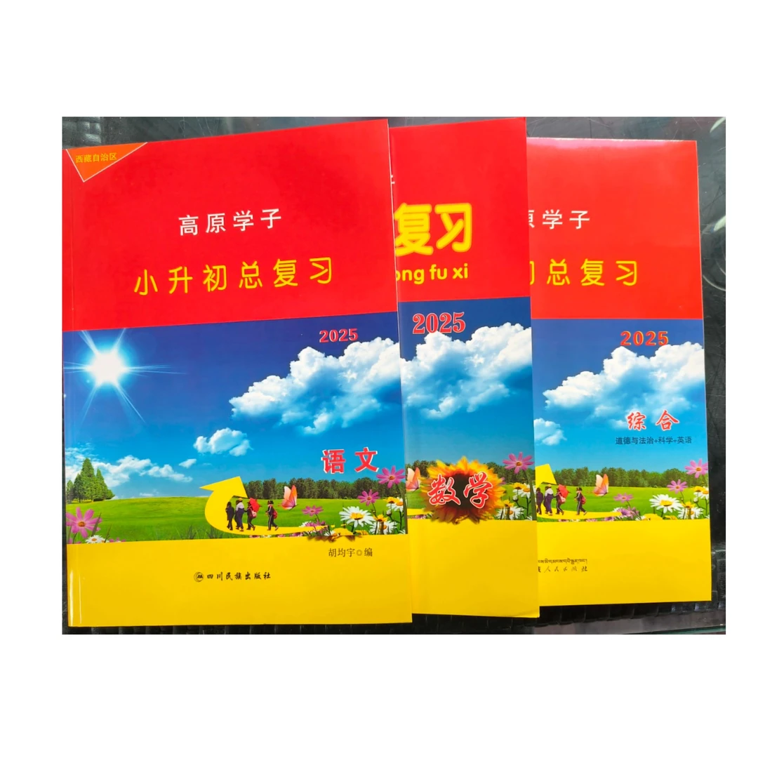 2025年小升初总复习《高原学子》