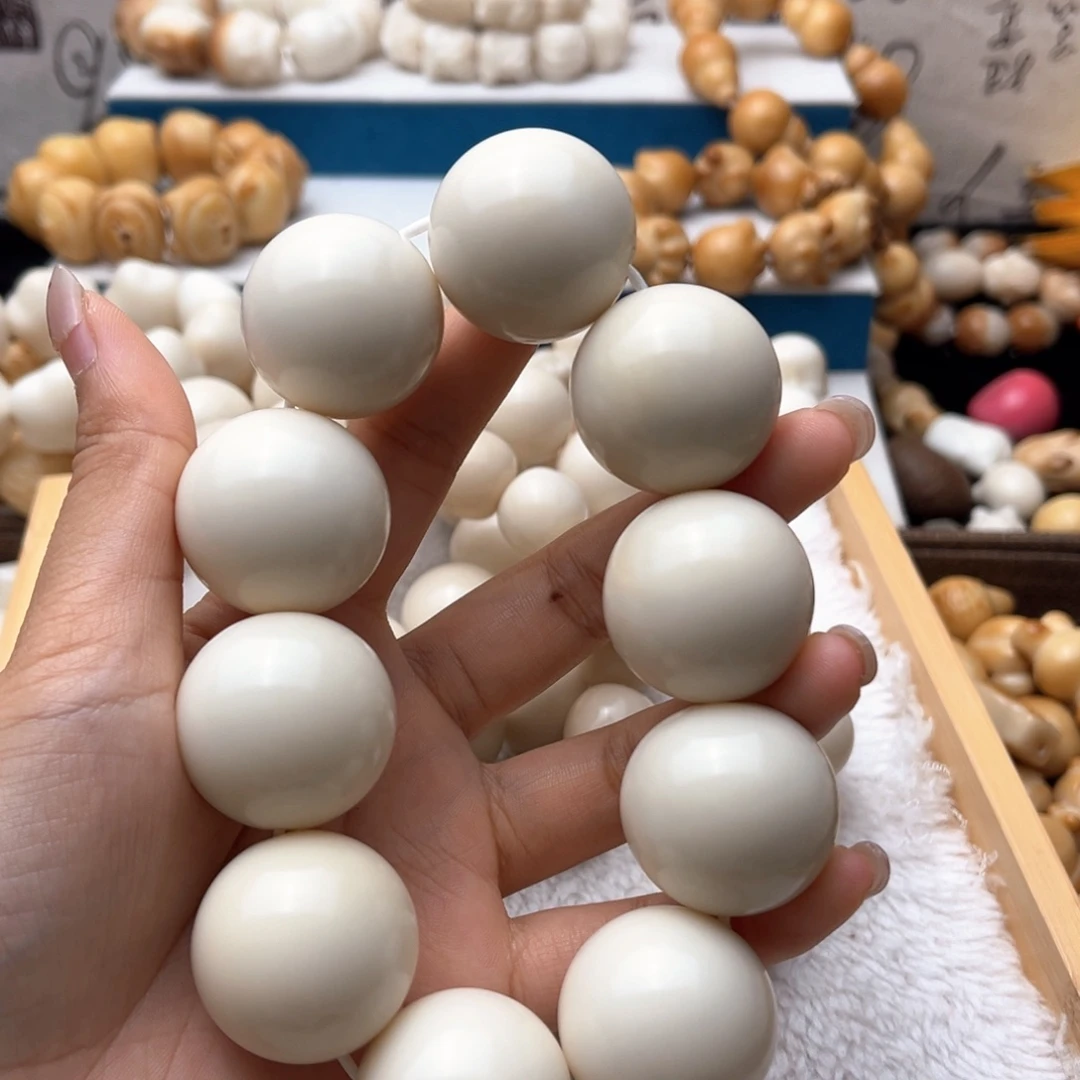 菩提根/象牙果吊坠卡2829